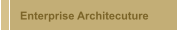 Enterprise Architecuture 