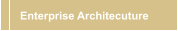 Enterprise Architecuture 