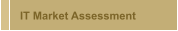 IT Market Assessment