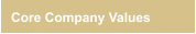 Core Company Values