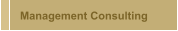 Management Consulting 