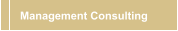 Management Consulting 